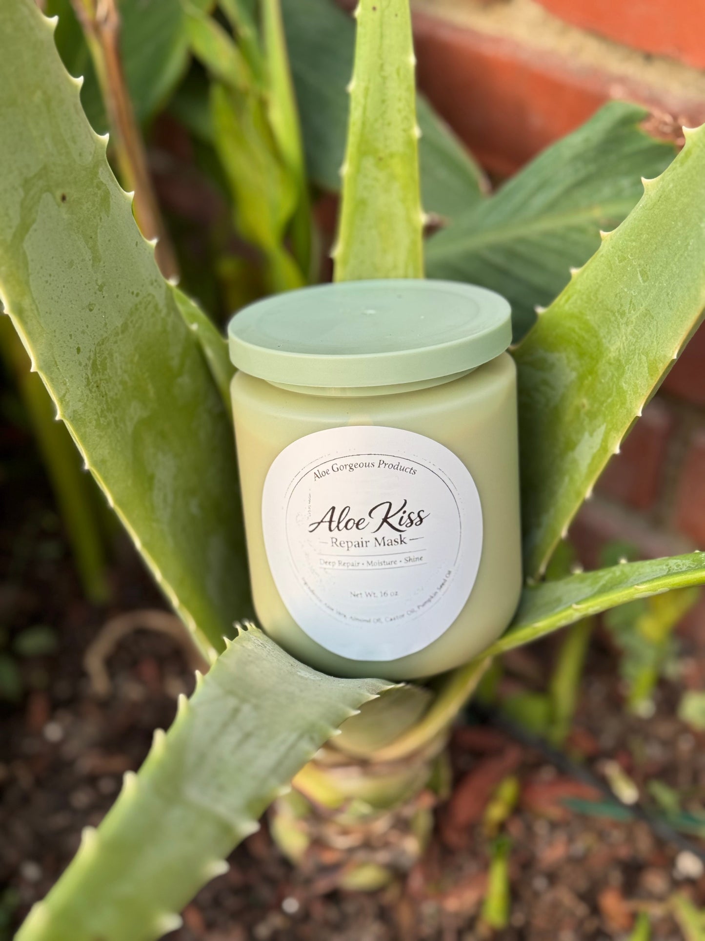 Aloe Kiss Repair Mask